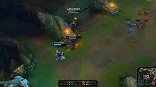 plat solo q jnglers