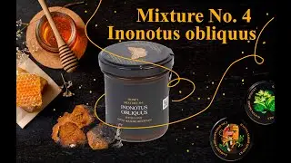 Honey mixture No. 4 Inonotus obliquus