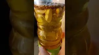 Растительное масло для салатов!Прошло 30мин,оно уже имеет аппетитный аромат,не забываем встряхивать!