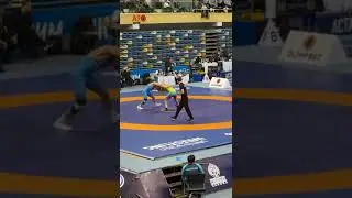 6 февраля 2024 г.