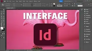 Interface in Indesign | Indesign professional course