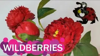 Review of wonderful products 🛒 WILDBERRIS 🟣Ozon🔵AliExpress 🔴🌹😊!