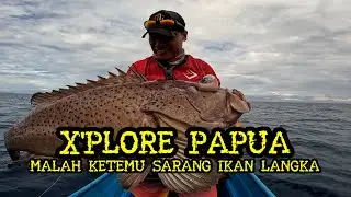 PAPUA EXPLORE WITH DAIDO FISHING TEAM