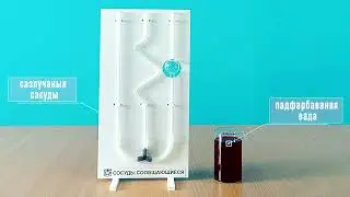 Сазлучаныя сасуды