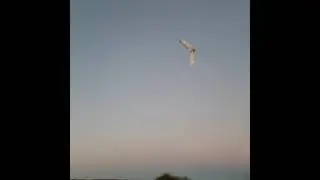 HawkMoth test and tune