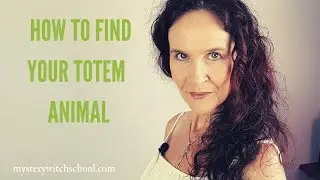 How To Find Your Totem Animal
