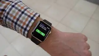 Translate Voice with iWatch (Apple Watch) | Translation app for iWatch | Lingvanex Translator