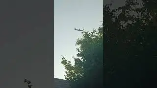 Boeing 787 Uzbekistan airways
