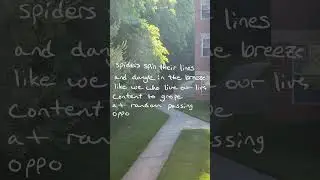 Spiders Poem