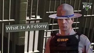 I Trolled The Dumbest Cops Of GTA RP