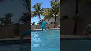 dad does front flip gone wrong #shorts