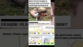 #грустный