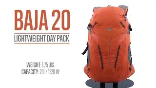 Day Packs: ALPS Mountaineering Baja 20 (Chili/Gray)