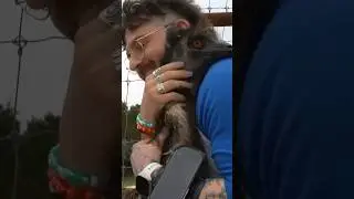@juliensolo hugs Stompy 🥹 #shorts #emu #notapet #collab #alveus #mayahiga