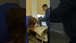 МОЙ КОТ ОГЛОХ