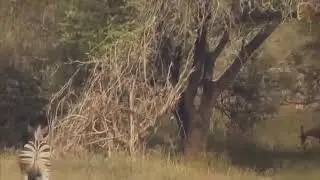 Война - это война жизнь это жизнь