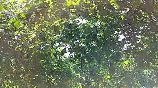 Песня о центре круга
