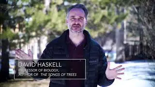 Tree Imagine: Boulder Forestry Documentary