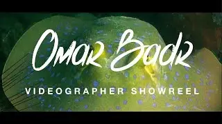 Omar Badr // Videographer Showreel //January 2017