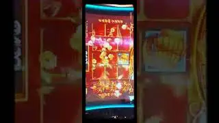 Dancing Drums at Dottys