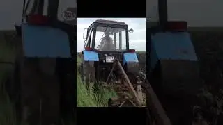 Как  нужно бороться с сорняками.