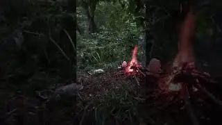 Минутное видео из леса с металлом!