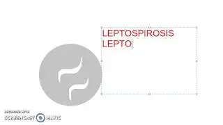 Microbiology 370 a LeptoSpirosis Weils Disease leptospira bacteria Media EMJH interrogans rat urine