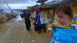 A rebirth this time of a beautiful little goat / Nomadic family documentary