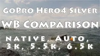 GoPro Hero4 Silver: White Balance Native, Auto, 3000, 5500, 6500, Protune off Comparison