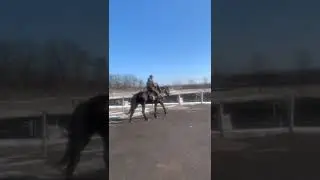 Казачья поляна.