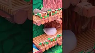 Hamster Sonic Maze ep. 2 🐹 Homura Ham Pets