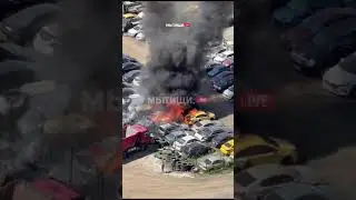 17 июля 2024 г.