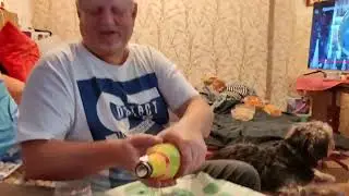 СТАРЫЙ НОВЫЙ ГОД 24 🎉