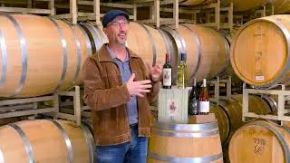 Bell Wine Cellars: April 2024 Updates & Current Bottlings | Explore the Vineyard!