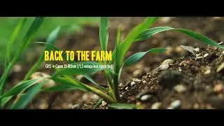 Back to the Farm (HD) (GH5 + Canon FD 35-105mm f/3.5 Vintage Zoom Lens) (Macro Mode)