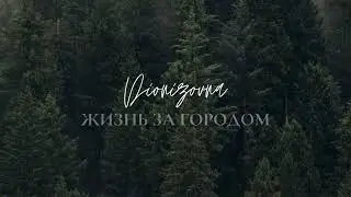 Прямая трансляция DIONIZOVNA