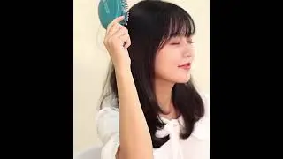 Universal Hair Comb Anti-static Airbag Comb Round Scalp Massage Comb