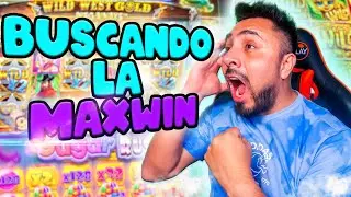Buscando la MAX WIN en las slots que mas pagan | ZexterPKM