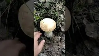 Просто приятно