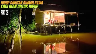 Hidup di hutan rumah rawa buat jembatan keseberang dapat ikan sangat banyak