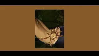 belly dancer playlist