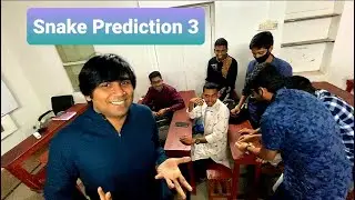 Snake Prediction 3