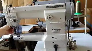 Рукавная Typikal GC2603 