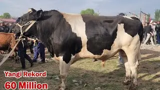 Buvayda Yangiqo'rg'on Chorva Bozori Ko'rib Mazza Qiling