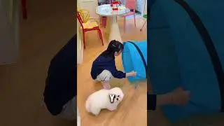 She put the cat in the pipe… and then disappeared!