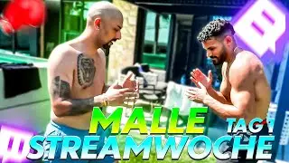 😨😰 EDIZ PACKT UNS! MMA TRAINING MIT EDIZ, ALEXIS, KUBA & Co.