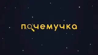 Почемучка №1 2019