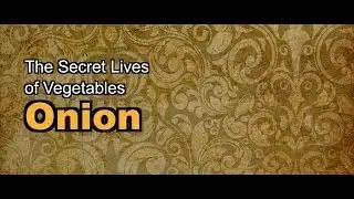 The Secret Lives of Vegetables: Onion