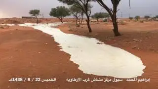 سيول مركز مشاش عوض غرب مركز الارطاوية