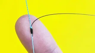 How to tie a leash correctly so that it does not get tangled. A leash that will never get tangled!